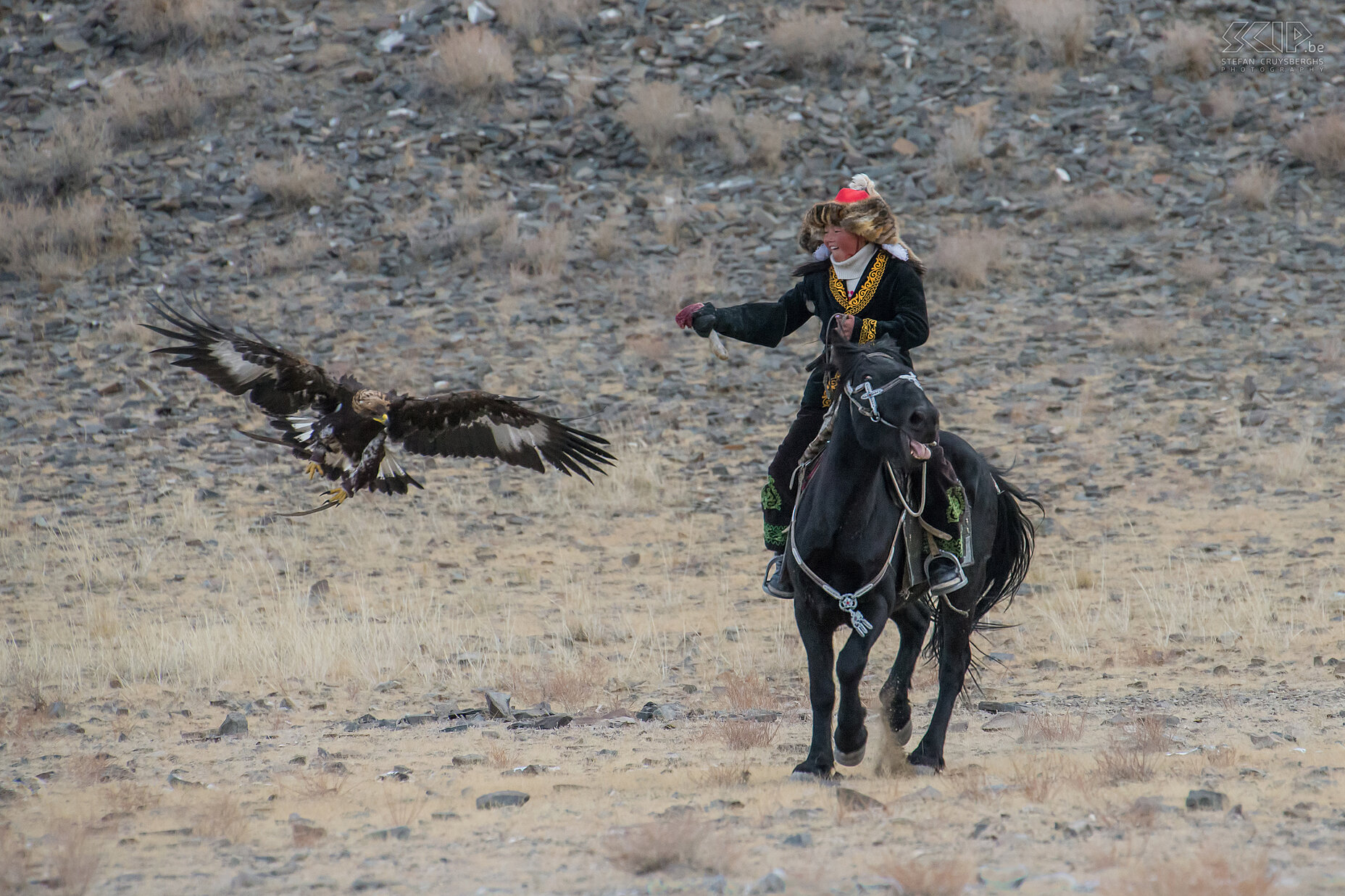 Ulgii - Golden Eagle Festival - Ashol-Pan De meeste Kazakse jongens in West-Mongolië leren hoe ze de arenden kunnen gebruiken om te jagen vanaf de leeftijd van 13 jaar. Het is de plicht van de oudste zoon om deze traditie voort te zetten. Maar tijden veranderen en sommige jonge mannen verlaten hun ouders en zetten de oude tradities niet meer verder. Als gevolg hiervan leren sommige vaders tegenwoordig hun jonge dochters de kunst en de vaardigheden van de arendjager traditie. <br />
<br />
Dit is Ashol-Pan een 13-jarig vriendelijk meisje maar ook een fantastische arendjageres. Tijdens dit festival werd een groot deel van de film 'The Eagle Huntress' opgenomen door regisseur Otto Bell. Deze documentaire film werd uitgebracht in 2016 en vertelt het verhaal van Ashol-Pan.  Stefan Cruysberghs